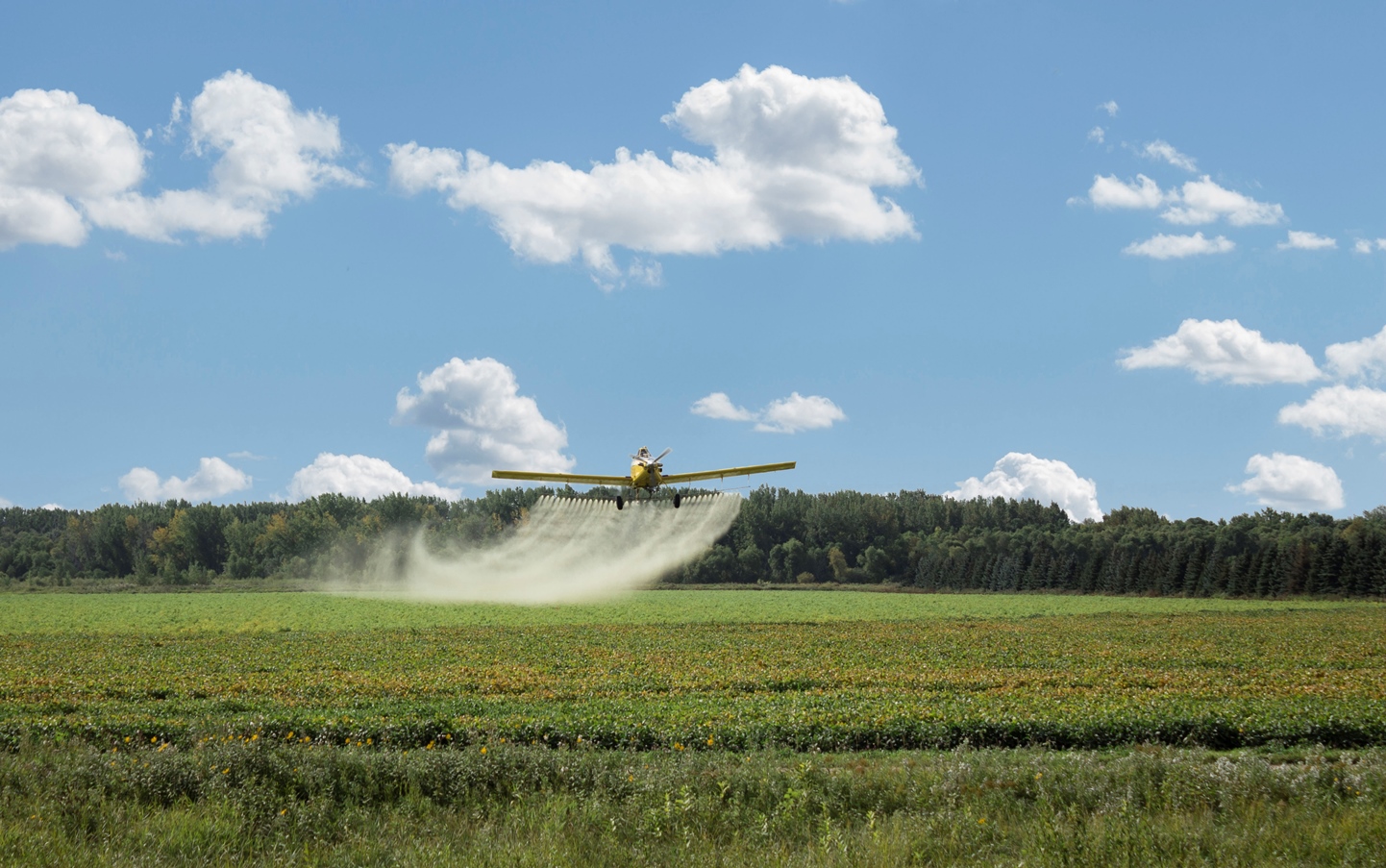 A yellow spray plane flying low over the field spraying the field under a blue sky with clouds.