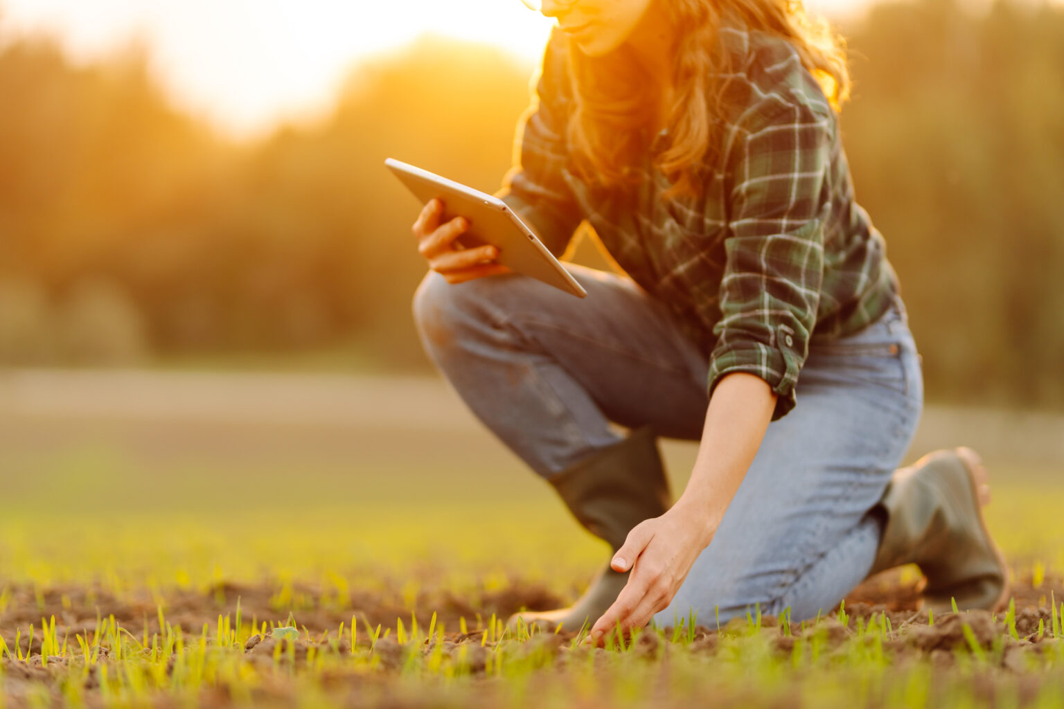 Young female agronomist with a digital tablet in her hands checks young shoots in the field. A female farmer using a modern tablet checks lab execution system from STARLIMS.