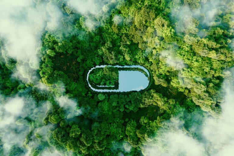 Pill shaped water in rainforest